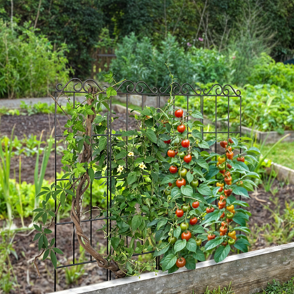 HASTHIP Metal Garden Trellis for Climbing Plants HASTHIP Metal Garden Trellis for Climbing Plants